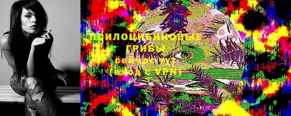 ALPHA-PVP Новозыбков