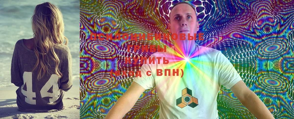 синтетический гашиш Новодвинск