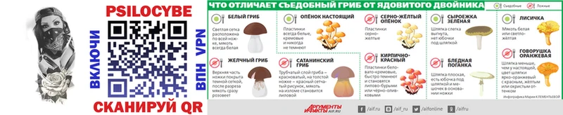 Галлюциногенные грибы GOLDEN TEACHER  OMG ссылки  Тайга 