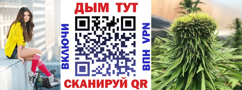 Шишки марихуана Ganja  Тайга 